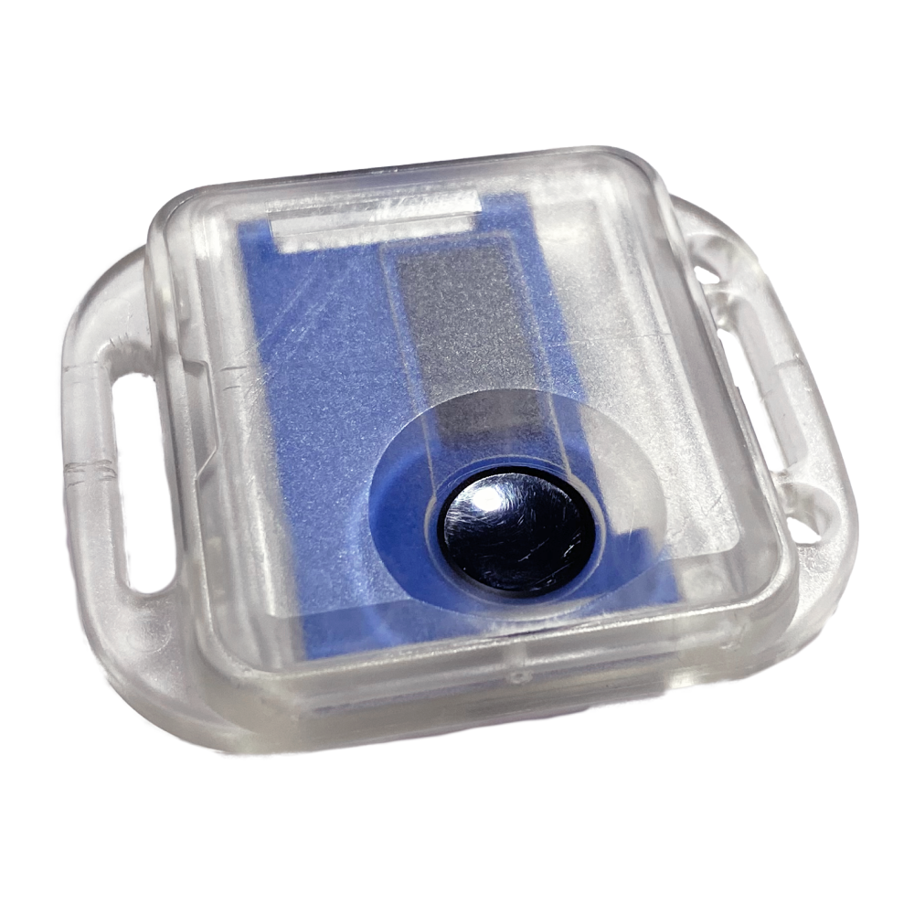 Dosimetría personal de cuerpo entero